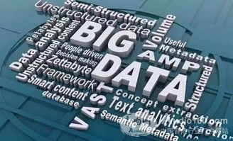 DMX攜手?jǐn)?shù)博會(huì)暨物聯(lián)網(wǎng)高峰論壇隆重召開，共話物聯(lián)網(wǎng)技術(shù)研發(fā)與應(yīng)用新篇章