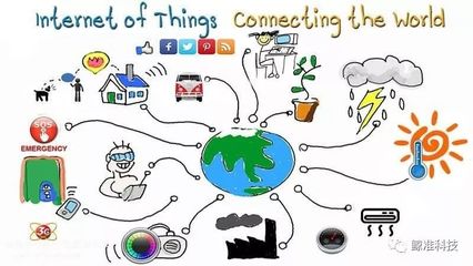 物聯(lián)網(wǎng)賦能生態(tài)保護(hù) 以科技之智，筑生態(tài)之暖