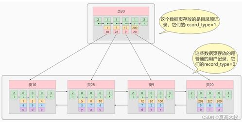 MySQL高級篇 索引數(shù)據(jù)結(jié)構(gòu)與InnoDB存儲結(jié)構(gòu)深度解析